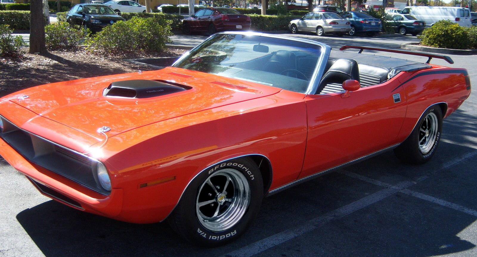 ford mustang club #9